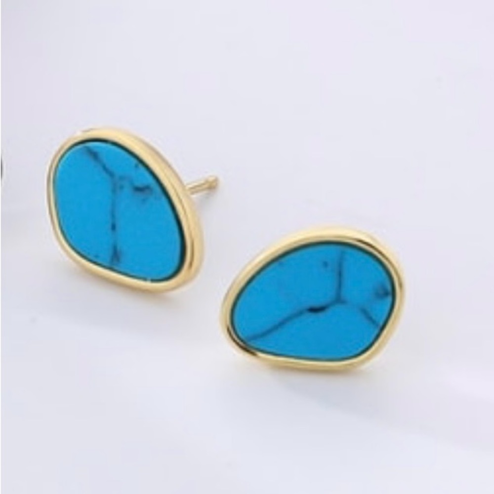 925 Sterling Silver Shell Turquoise Minimalist Stud Earring E6-1423